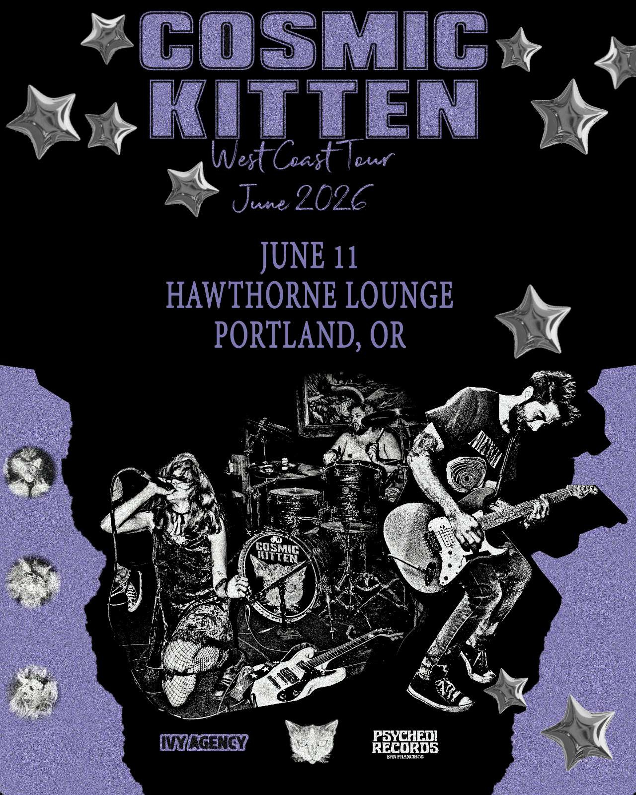 Cosmic Kitten | Mammoth Northwest